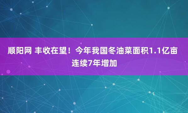 顺阳网 丰收在望！今年我国冬油菜面积1.1亿亩 连续7年增加