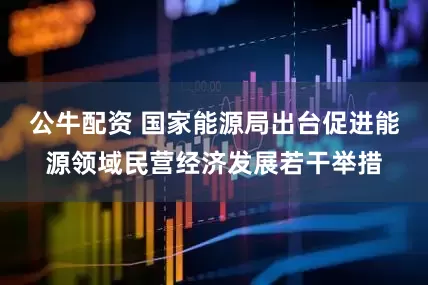 公牛配资 国家能源局出台促进能源领域民营经济发展若干举措