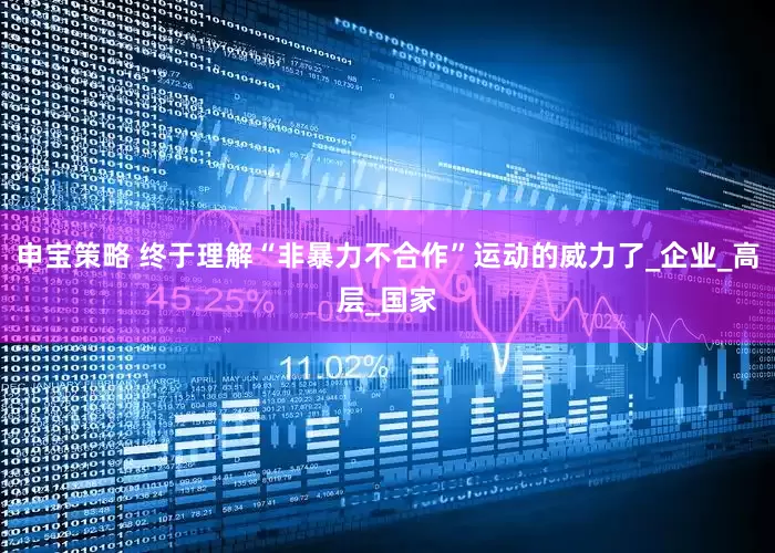申宝策略 终于理解“非暴力不合作”运动的威力了_企业_高层_国家
