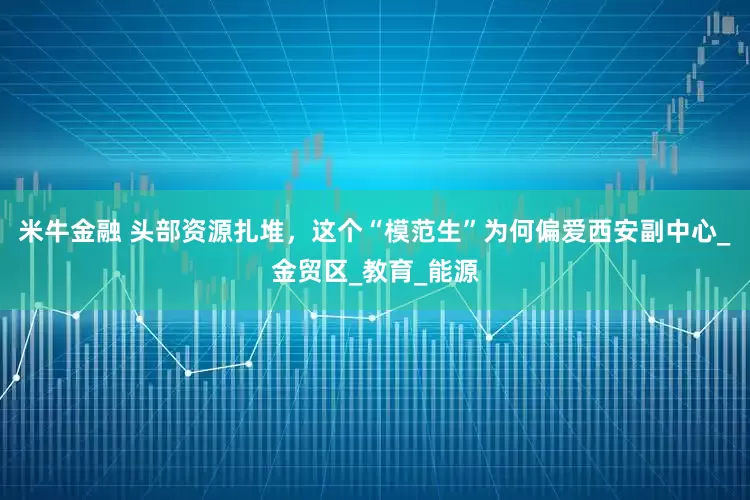 米牛金融 头部资源扎堆，这个“模范生”为何偏爱西安副中心_金贸区_教育_能源