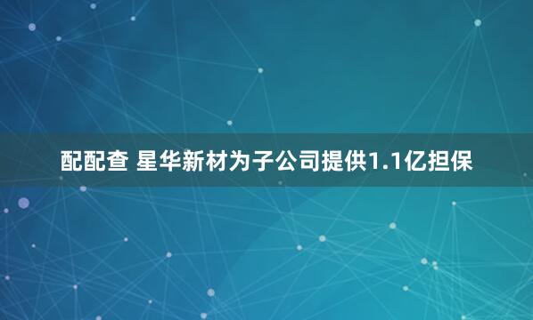 配配查 星华新材为子公司提供1.1亿担保