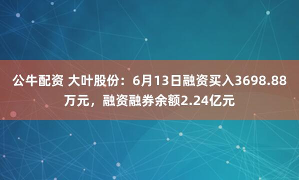 公牛配资 大叶股份：6月13日融资买入3698.88万元，融资融券余额2.24亿元