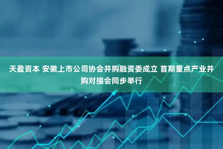天盈资本 安徽上市公司协会并购融资委成立 首期重点产业并购对接会同步举行